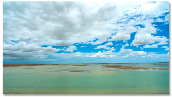 Lluvia en el Desierto