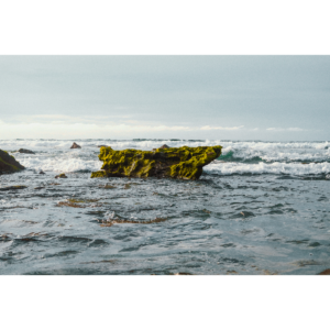 Punta Sal Reef