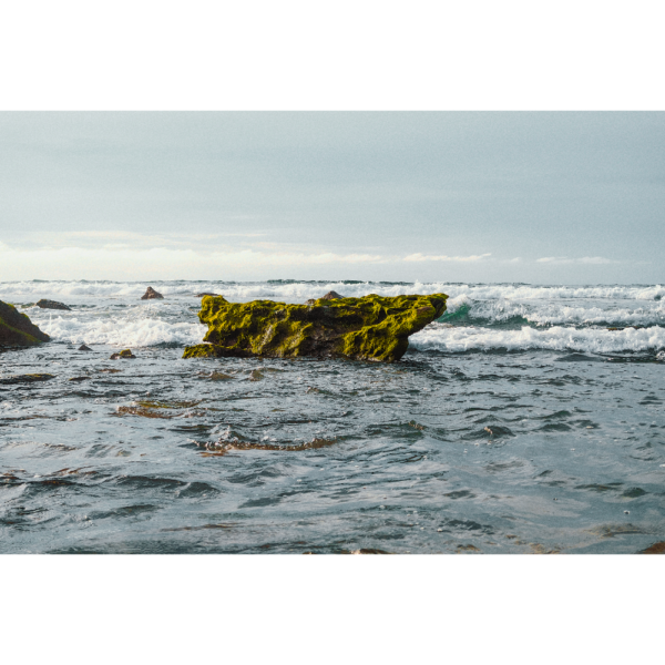 Punta Sal Reef