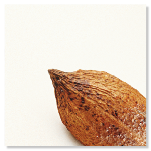 CACAO