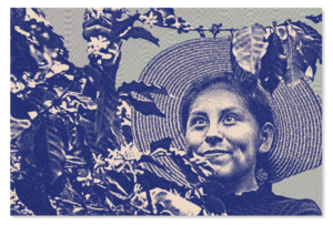 Cultivadora de café
