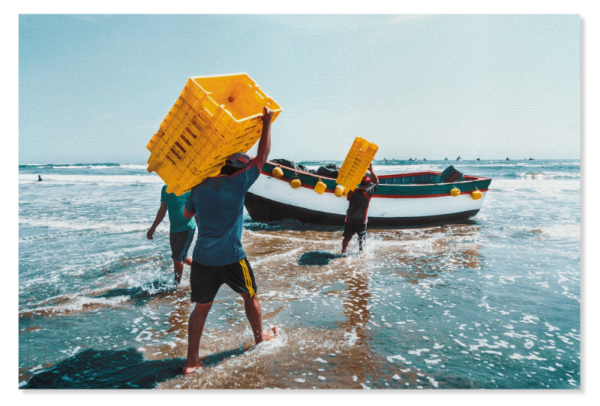 Pescadores artesanales