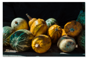 Calabazas nativas andinas