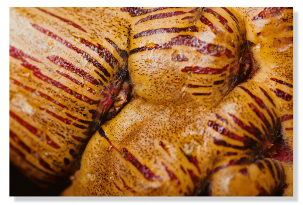 INCA TUBER
