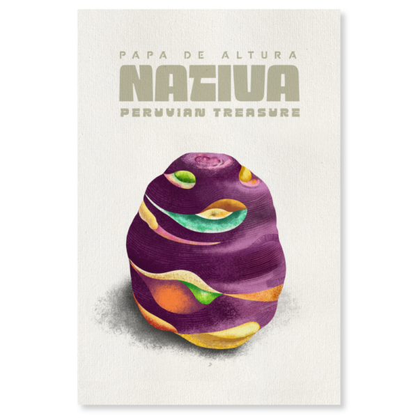 Papa nativa de colores