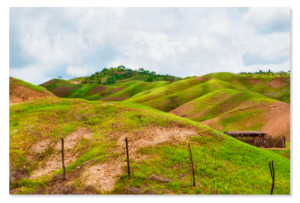 Beach Dunes
