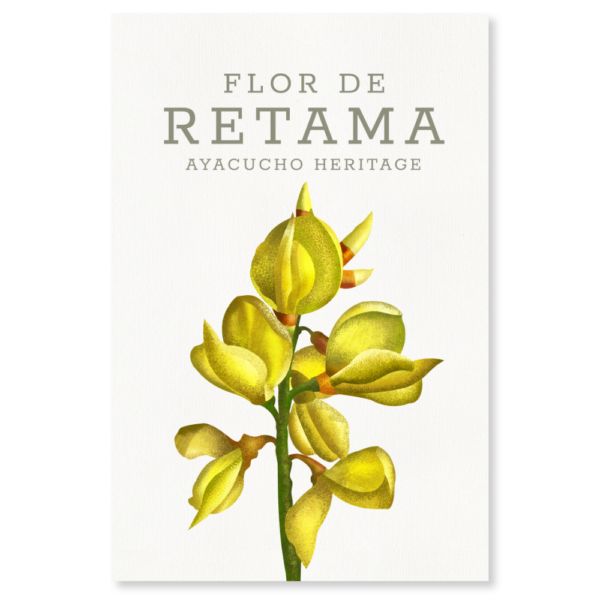 Retama