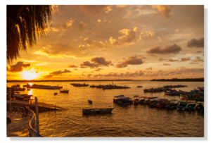 Manglar de Tumbes