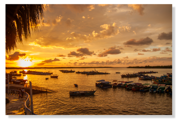 Manglar de Tumbes